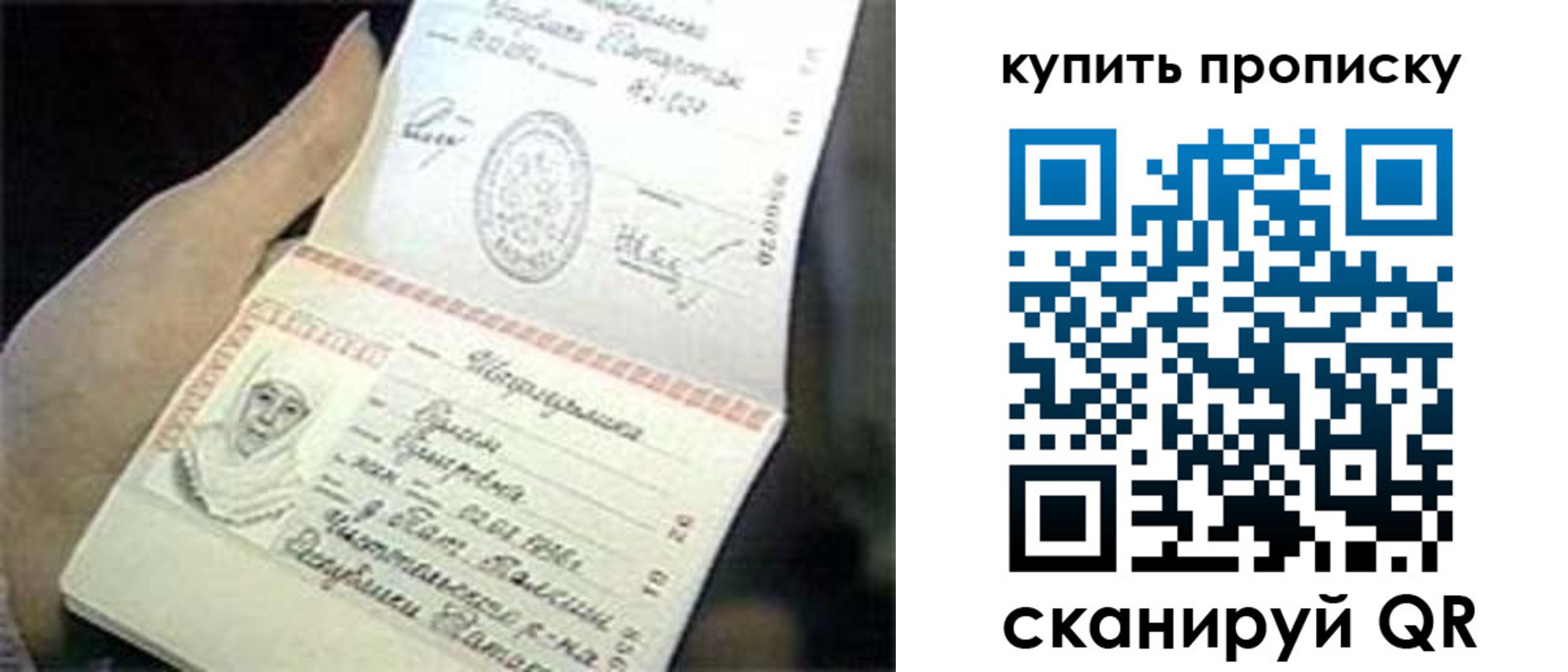 прописка поиск в Жукове